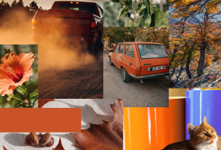 color-match-rust
